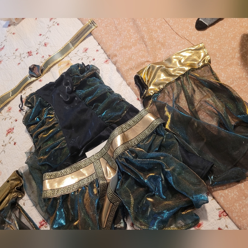 Gold and Black Costume Set